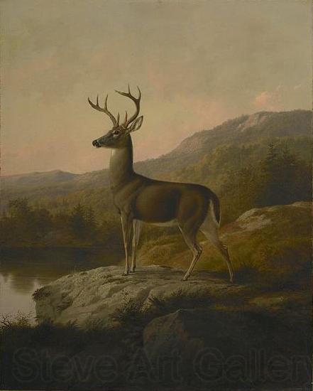unknow artist Deer Norge oil painting art